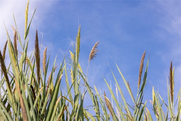 晋江的口号29句