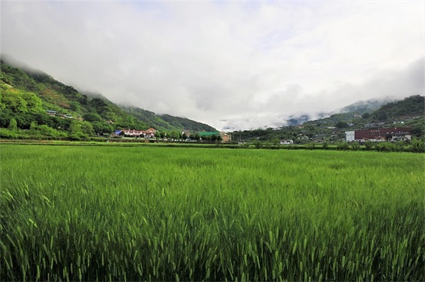 绿色是地球的本色 关于环保公益广告标语