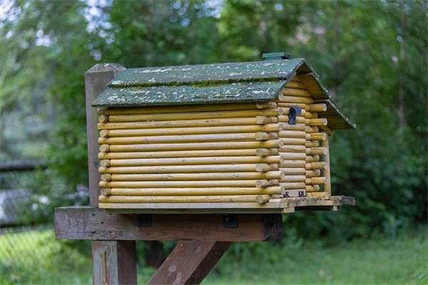 预防艾滋顺口溜口号大全 预防艾滋病的内容