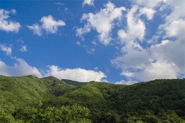 企业安全生产标语大全集