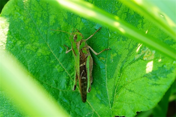 会议室标语60例