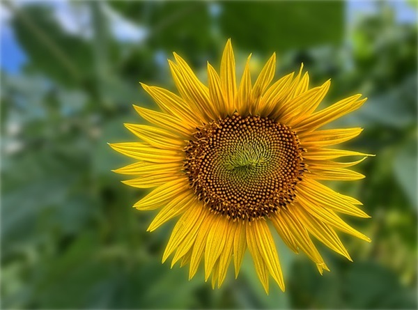 企业生产安全标语大全