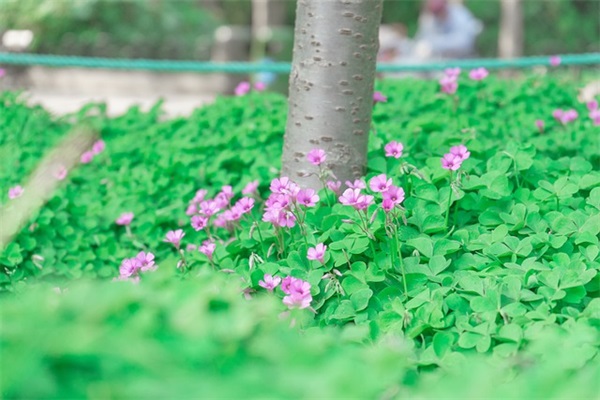 有关气余宇高昂军训口号 初一六班军训口号