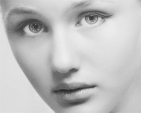 辞牛迎虎四字口号 辞牛迎虎口号