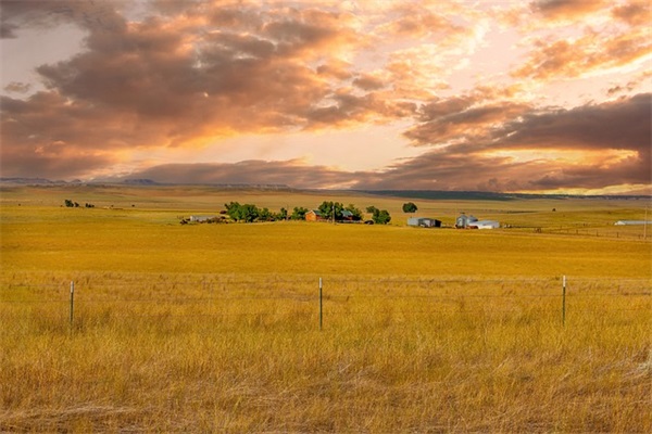 运动会入场口号押韵(运动会入场口号押韵有气势带有7班)