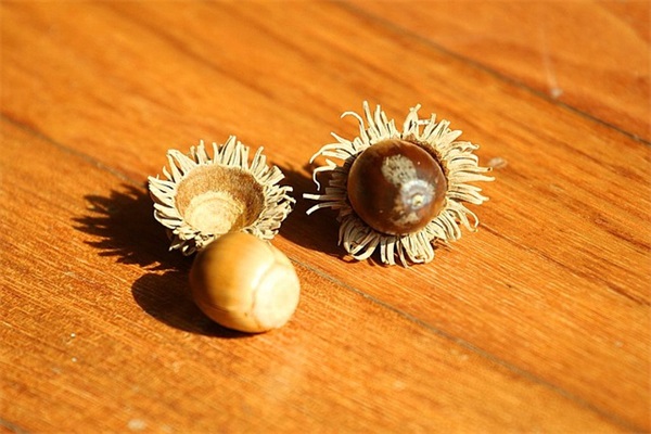 篮球赛口号霸气 班级篮球赛口号