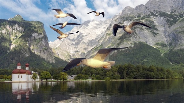 歌唱比赛拉拉队口号大全49句