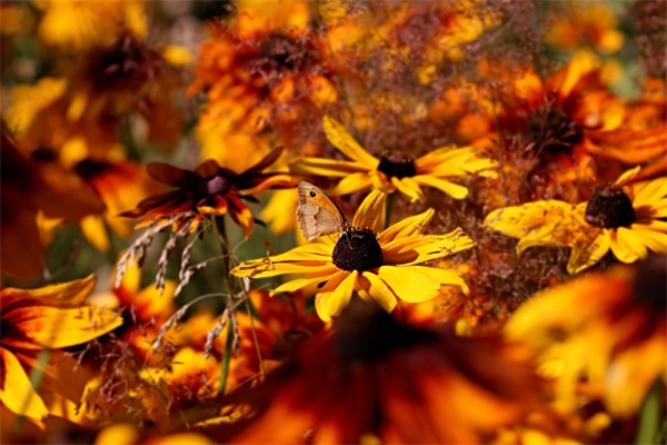 勤俭节约反对浪费口号精选 勤俭节约反对浪费