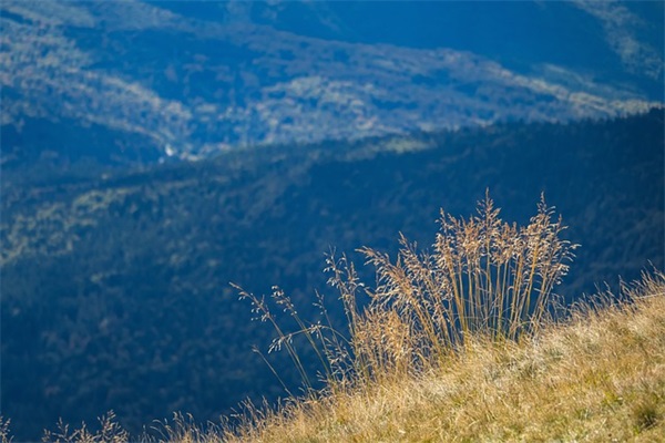 110宣传日口号38句