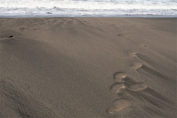 2026年防疫接种宣传标语 防疫宣传标语