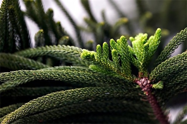 食品安全创建标语