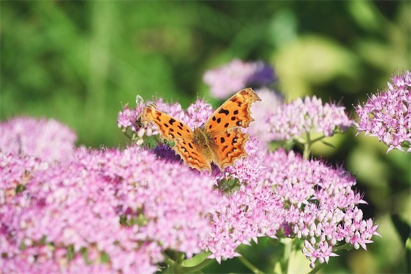 节约时间宣传标语 节约水电的宣传标语