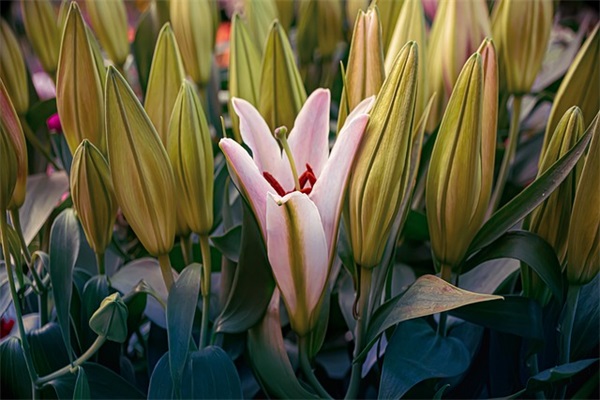 厉行节约反对浪费口号大全精选(厉行节约反对浪费)