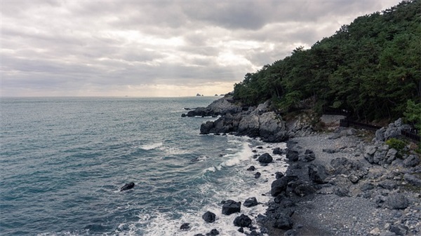 感恩标语简短 感恩的标语