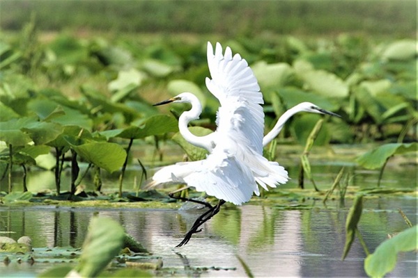 行车记录仪宣传口号 行车记录仪十大排名