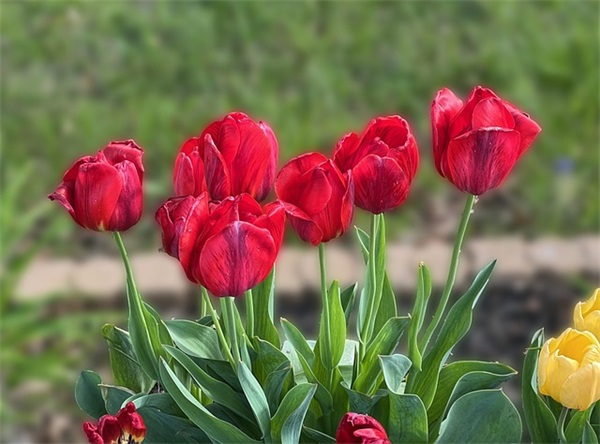 独一无二的霸气句子 独一无二的句子