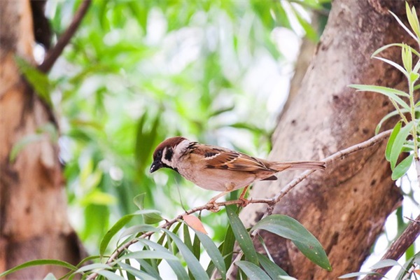十月第一天开心的句子