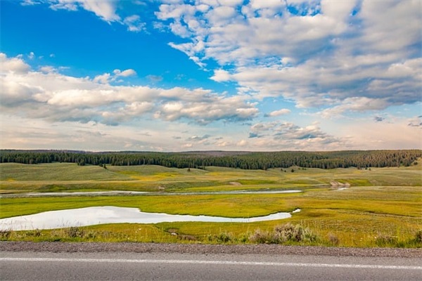 夸一个男人有才华的句子