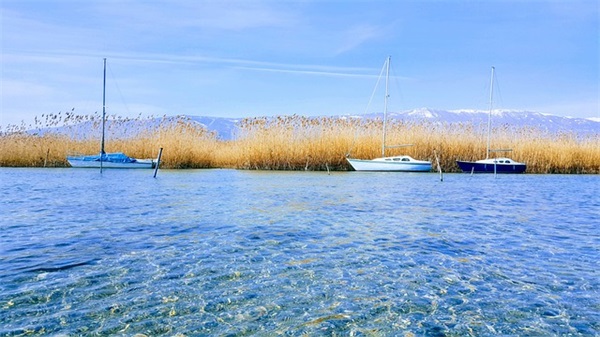 描写教室的优美句子 赞美教室环境优美的句子
