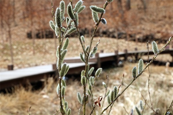 早安正能量句子 励志晨语短句