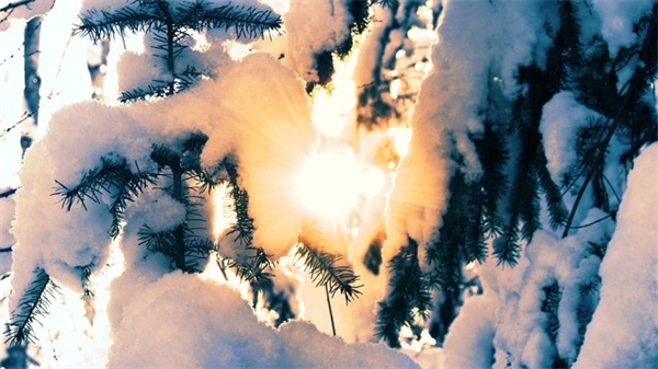 形容不懂珍惜的句子 形容珍惜当下的句子