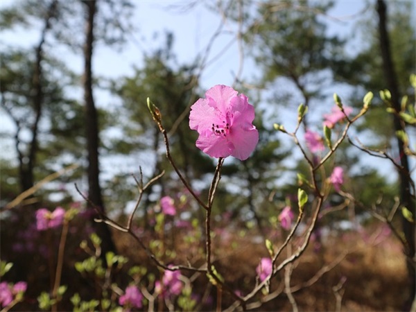 仙到极致的温柔句子 温柔到爆的神仙文案精选