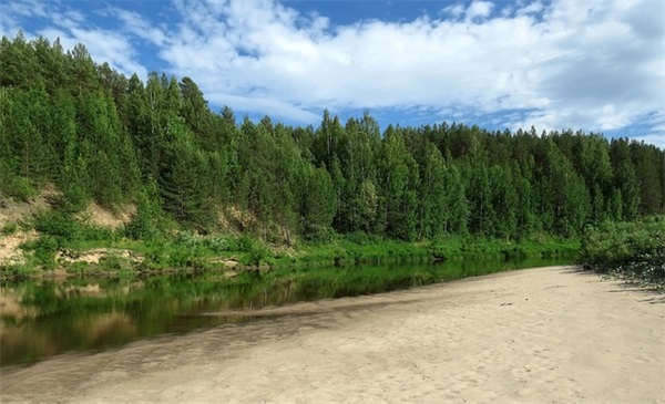 夫妻经历风雨的句子(关于多年夫妻感情经历过风雨依然不变的句子)