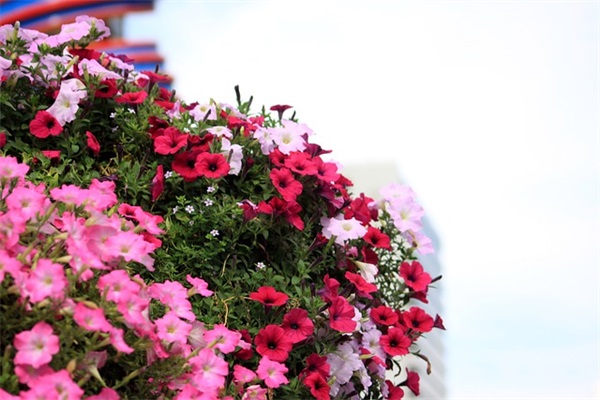 关于亲情伤人心的句子大全(形容亲情大于一切的句子)