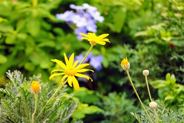 有些道理的悲伤哲学句子