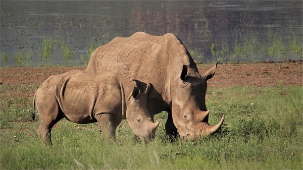 幽默风趣有内涵高情商的句子(约酒幽默风趣的句子)