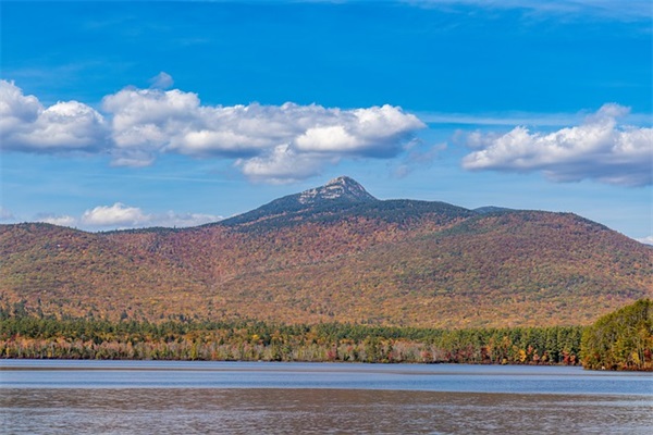 生活充满美好的句子带图片精选(对生活充满阳光的句子带图)