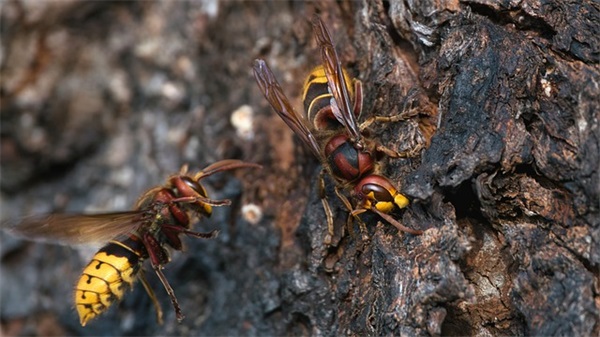 2026年愿意陪你熬夜的人句子