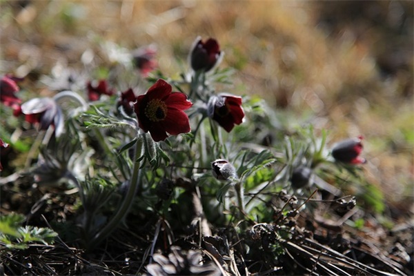 2026年老师退休祝福语-87句