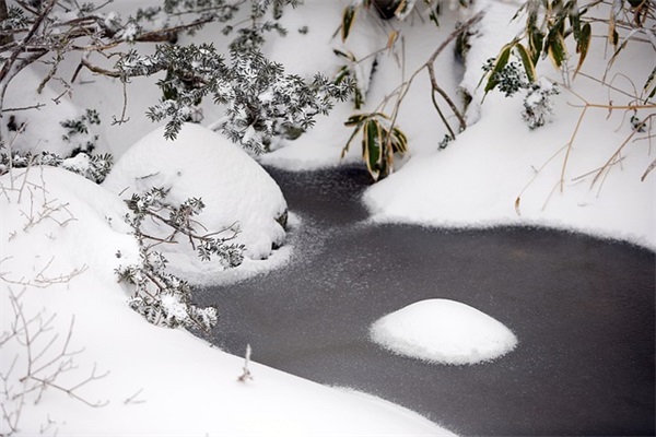 妹妹给哥哥的结婚祝福语 【妹妹给哥哥的结婚祝福语简短】
