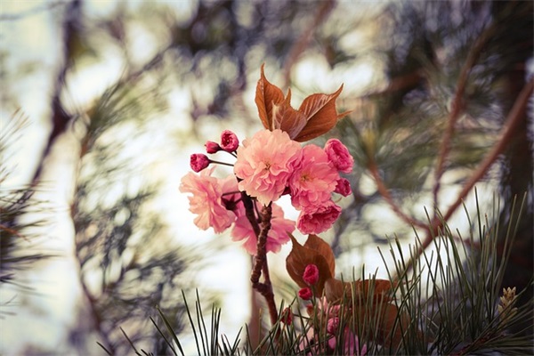 小孩100天祝福语 【小孩出生祝福语】