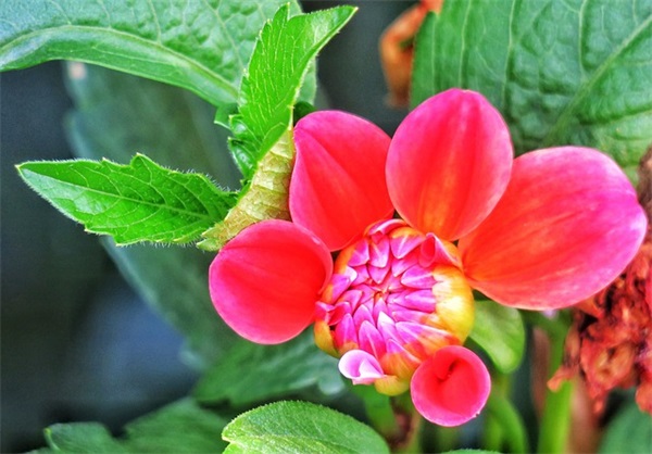 最美文字情感经典语录120句