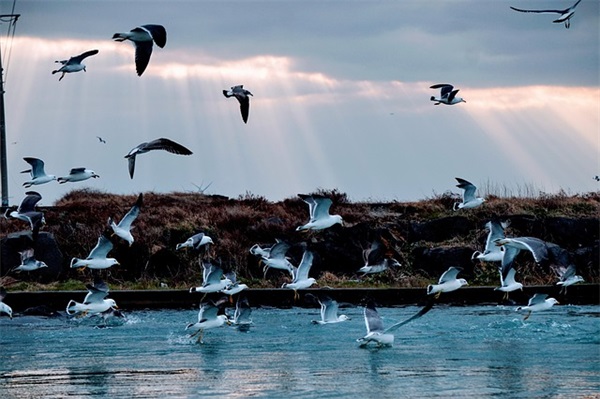 2026年励志语录120句