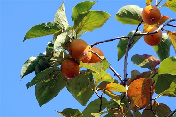 2026最新爱情经典语录 浪漫爱情语录