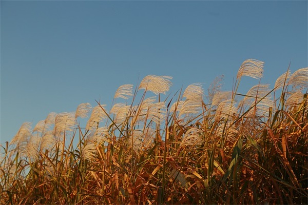 最伤感的语录90句