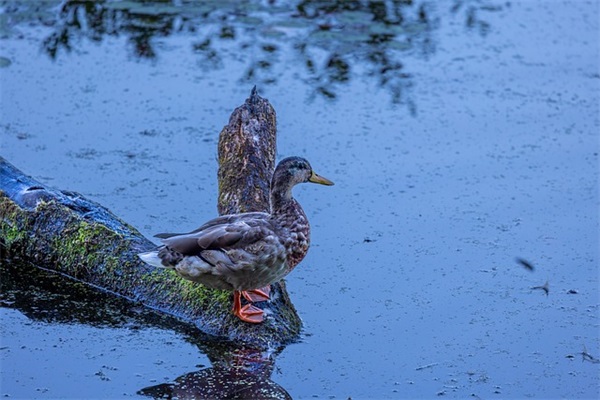 2026九月再见十月你好送给自己的励志心情说说语录