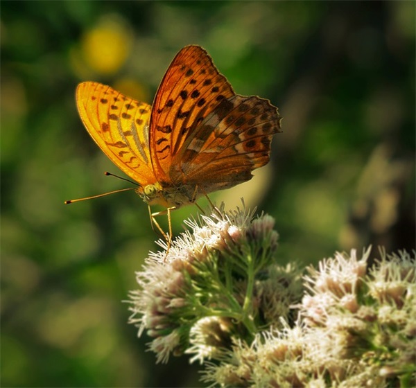 老同学的情感语录 老同学语录