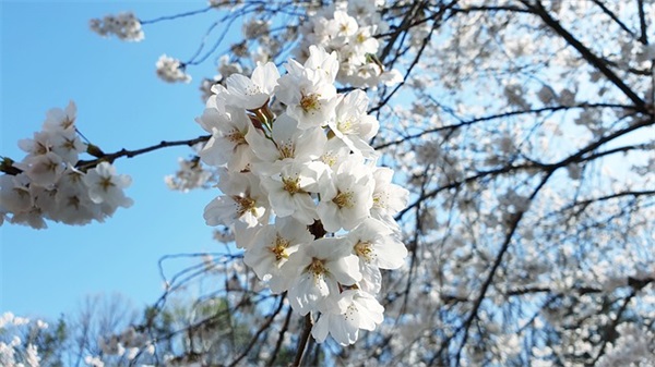 2026年经典语录搞笑98句