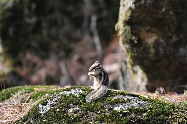 2026精选《极品公子》语录