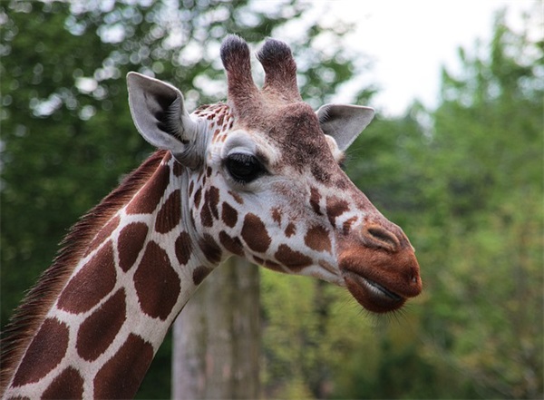 花火杂志经典语录