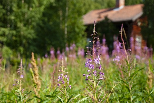一句话经典语录 经典语录励志