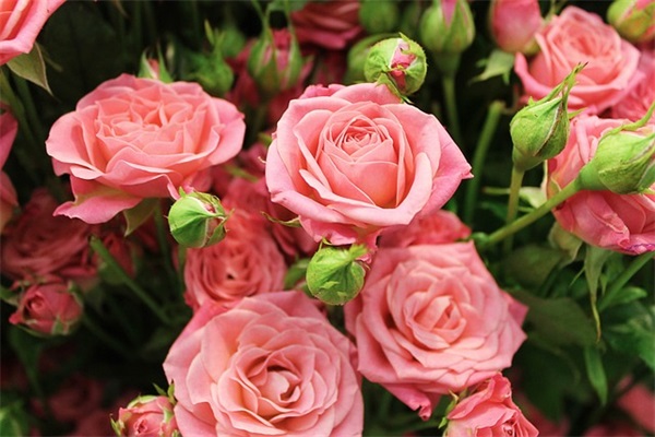 激励自己奋斗的职场正能量语录