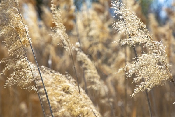 简单的适合早上发的早安心语语录