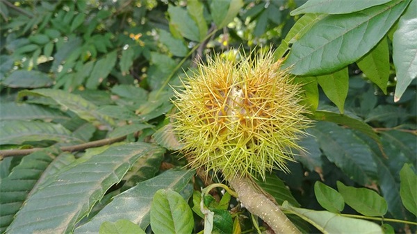 青春的经典名言语录