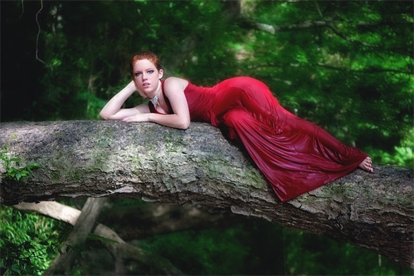 2026精选java程序员语录大全