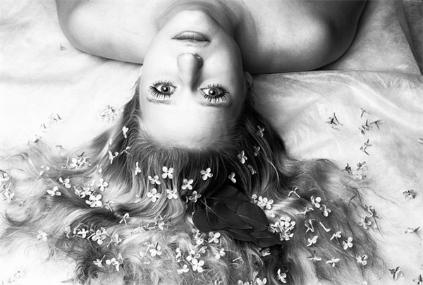 我是猫经典语录38句